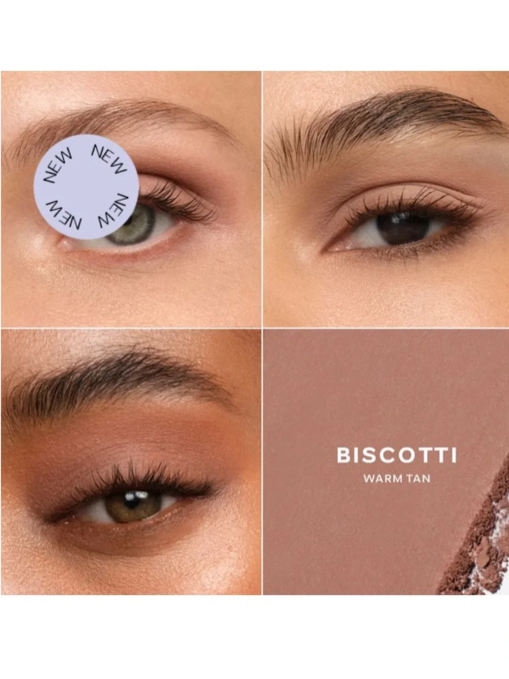 NEW✅SAIE Biscotti